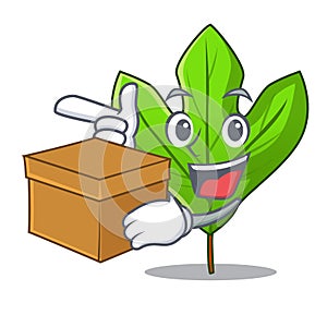 With box sassafras leaf in the cartoon stem