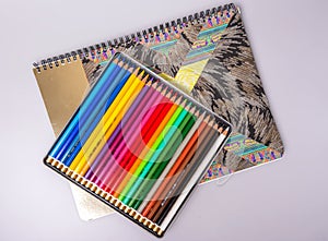 A box with sharpened multi-colored pencils lies on a sketchbook.