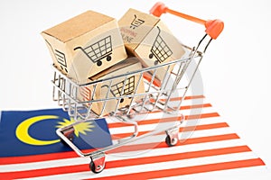 Box with shopping online cart logo and Malaysia flag, Import Export Shopping online or commerce finance delivery service store