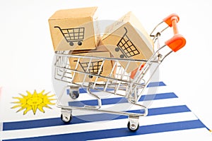 Box with shopping online cart logo and Uruguay flag, Import Export Shopping online or commerce finance delivery service store