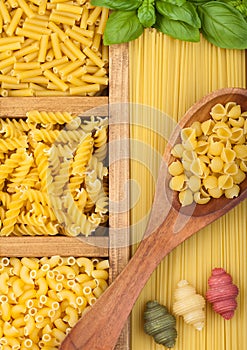 Box with spaghetti and fusilli and macaroni with maccheroni and fresh basil with wooden spoon and tricolor conchigiolli as italian