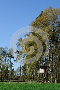 Box stand at the edge of the forest