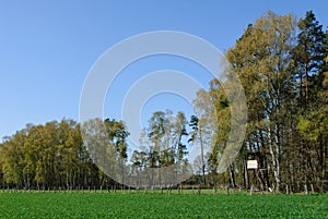 Box stand at the edge of the forest