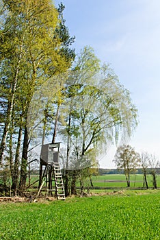 Box stand at the edge of a forest