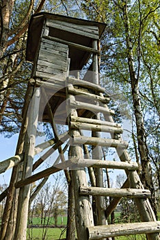 Box stand at the edge of a forest