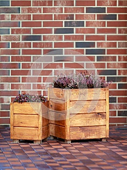 Box with street flowers. Large wooden box. Red brick wall. Street decoration. City flowers. Perfect solution.