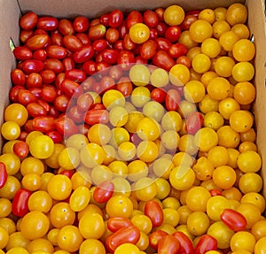 Box of tasty red and yellow cherry tomatoes ready to eat and super juicy