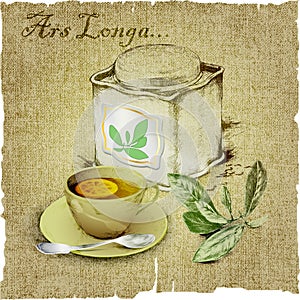 box of tea, cup of tea, tea leaves,lemon on canvas.vector illustration