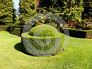 Box Topiary Sculpture