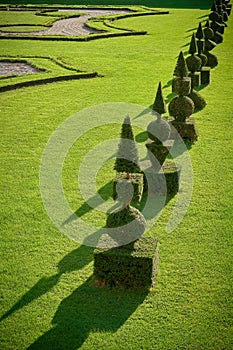 Box trees in a public baroque landscape park in Germany