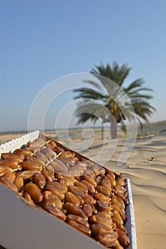 Box of Tunisian dates on the sand with palm tree background