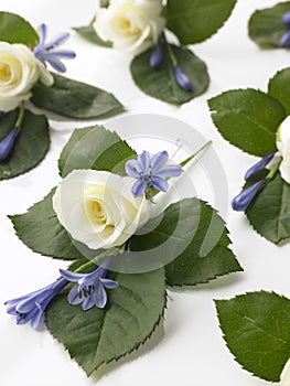Box Of White Rose Corsages