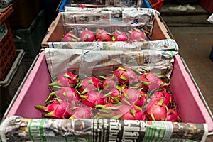 Boxed Dragon Fruit ready for sale.