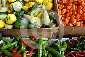 Boxed Peppers and Gourds for Sale at a Farmers Market