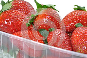 Boxed Strawberries