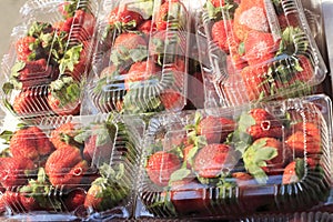 Boxed strawberries