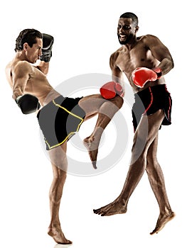 Boxer boxing kickboxing muay thai kickboxer men