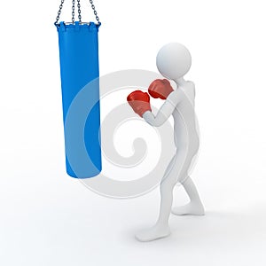Boxer boxing with punching bag
