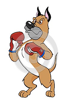 Boxer Dog