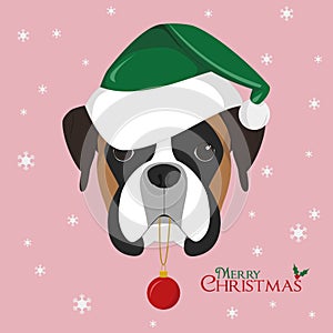 Boxer dog with green Santa`s hat and Christmas toy ball