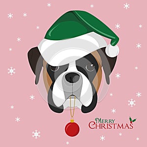Boxer dog with green Santa`s hat and Christmas toy ball photo