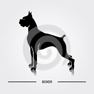 Boxer dog silhouette.