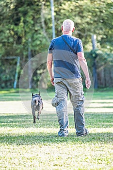 boxer dog Training near his owner legs during the dog obedience course