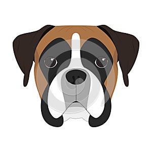 Boxer dog vector illustration