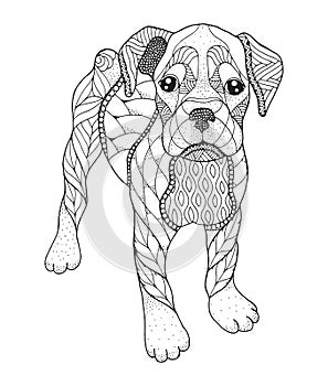 Boxer dog in zentangle and stipple style. Vector illustration.