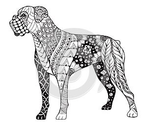Boxer dog zentangle stylized, vector, illustration, freehand