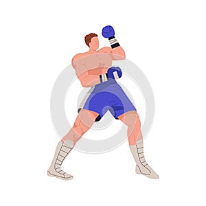 Boxer fighter. Professional box athlete in defending pose, stance. Man, boxing wrestler in gloves and shorts standing in