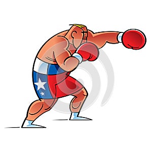 Boxer Fighter in the Ring