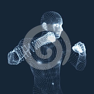 Boxer. Fighting Man. 3D Model of Man. Human Body Model. Body Scanning. View of Human Body.