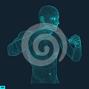Boxer. Fighting Man. 3D Model of Man. Polygonal Design. Sport Symbol.