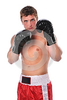 Boxer With Gloves