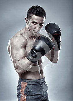 Boxer in guard stance on gray background