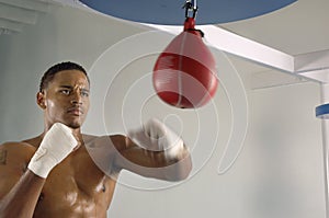 Boxer Hitting A Speed Bag In Gym