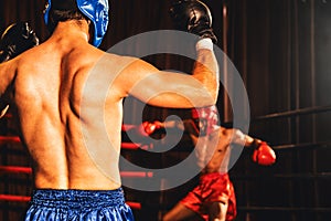Boxer and intimidation with victory or winner posing. Impetus photo