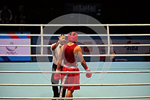 Boxer knockout referee counting