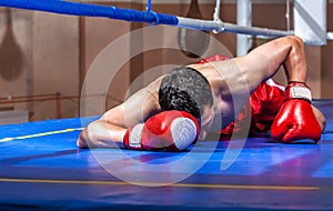 Boxer lying knocked out in a boxing ring