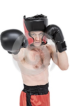 Boxer performing upright stance