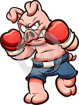 Boxer pig