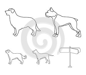 Boxer, pit bull, St. Bernard, retriever.Dog breeds set collection icons in outline style vector symbol stock