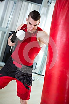 Boxer punching bag