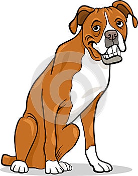 Boxer purebred dog cartoon illustration