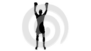 Boxer rejoice by winning the match. Silhouette in slow motion