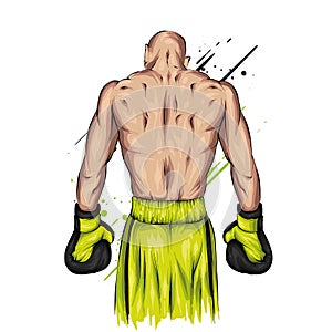 Boxer in shorts and gloves. Male athlete. Vector illustration for greeting card or poster. Sport, fight, athlete ready for battle.