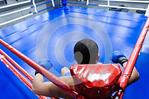 Boxer sitting in the corner of boxing ring
