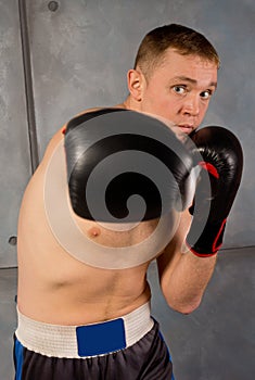Boxer taking aim at the camera