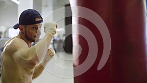 Boxer training punching bag